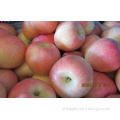 Large Red Organic Fuji Apple Fresh Contains Zinc , Red Deli